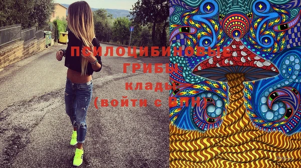 дживик Володарск