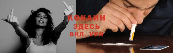 дживик Володарск