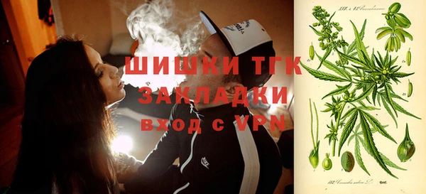 дживик Володарск