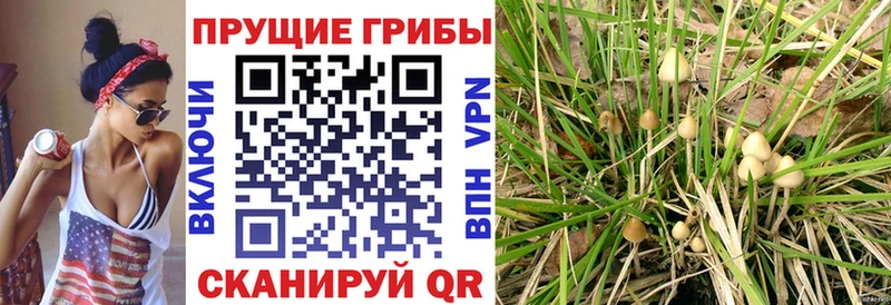 Псилоцибиновые грибы мухоморы  Купить где  Петушки 